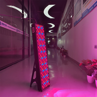 comprar 300-3600W Infravermelho PDT Máquina de Terapia de Luz Vermelha com 7 comprimentos de onda OEM / ODM fabricação em linha