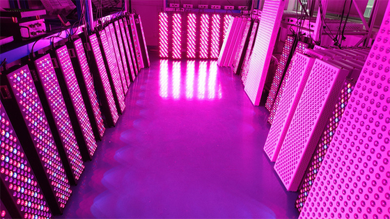comprar Painel de terapia de luz vermelha de corpo inteiro de alta potência de 1000W com faixa de frequência de 50Hz-60Hz e ângulo de feixe de 60° fabricação em linha