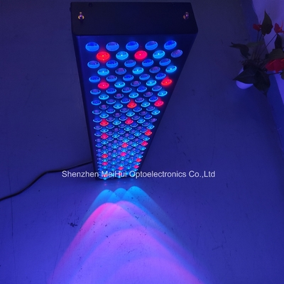 comprar NIR Light Red Light Dispositivos de terapia da pele para uso doméstico 1000W Espectro de 9 cores fabricação em linha
