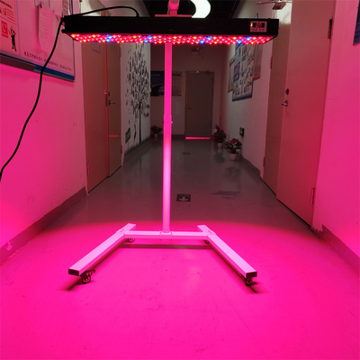 comprar 300-6000W PDT infravermelho Dispositivo de terapia de luz OEM/ODM 8 comprimentos de onda Modelo Uso de corpo inteiro fabricação em linha