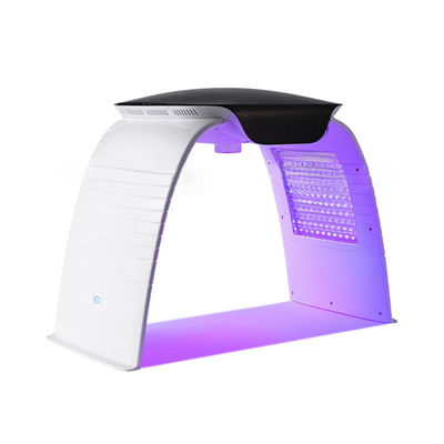comprar Máquina Facial Portátil de 7 Cores Led Pdt Terapia de Luz Led Nano Spray de Água Fototerapia Máquina de Beleza fabricação em linha
