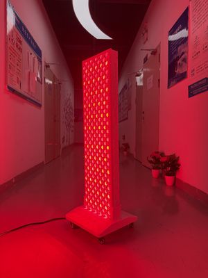 comprar High Power 2000W Red + Near Infrared Light Panel – OEM Factory with Pulse Mode & Brightness Control fabricação em linha