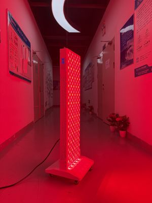 comprar OEM Factory Supply 2000W Red Light Therapy Panel – 630/660/810/830/850nm Wavelength Options fabricação em linha
