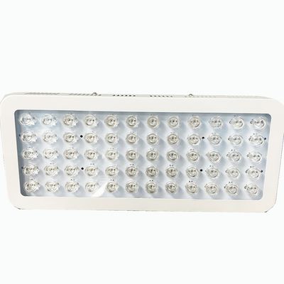 comprar luz vermelha de 300W 850nm e terapia próxima da luz infra-vermelha para a dor do joelho fabricação em linha