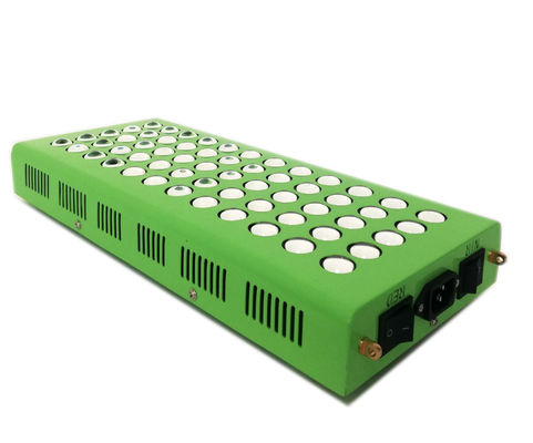 comprar terapia antienvelhecimento da luz infra-vermelha de 300w 660nm 850nm para a dor do joelho fabricação em linha