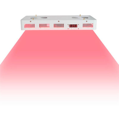 comprar Categoria médica 2 em 1 nanômetro infravermelho da fisioterapia 660nm 850 fabricação em linha