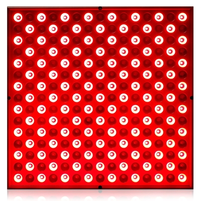 comprar painel claro vermelho 850nm infravermelho da terapia do diodo emissor de luz 45W combinado para o aperto da pele fabricação em linha