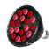 Remoção E27 Mini Red Light Therapy Device 54W do enrugamento com modelo 3