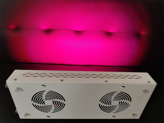 600w Cuidados corporais Dispositivo de Terapia de Luz Vermelha Espectro de Nir Vermelho Personalização para pele perfeita