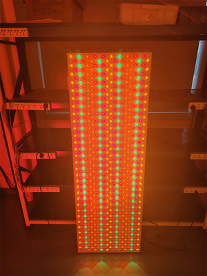 6000w 9 comprimentos de onda 535 590 610 630 660 810 830 850 1060Nm painel de luz LED para corpo inteiro