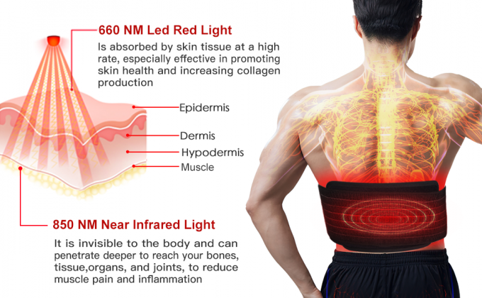 Correia do envoltório da almofada de corpo da luz infra-vermelha da máquina da terapia da luz do diodo emissor de luz da perda de peso 850nm 0