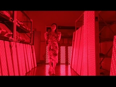 Painel de terapia de luz vermelha de 3000w