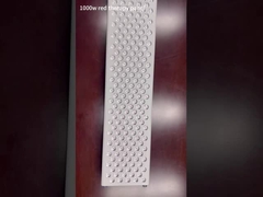painel claro vermelho da terapia 1000W
