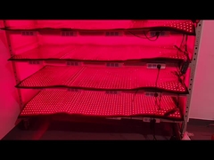 Dispositivos de perda de peso LED personalizados de 660nm 850nm