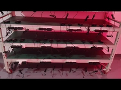 Cinturão de Terapia de Luz Vermelha Lipo 660nm 850nm