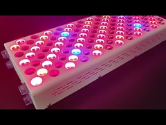 600w Cuidados corporais Dispositivo de Terapia de Luz Vermelha Espectro de Nir Vermelho Personalização para pele perfeita