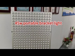 Sem restrições de localização Lâmpada de terapia de luz infravermelha vermelha 45W 660nm 850nm