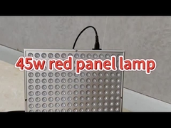 Medicina aprovada 50W terapia de luz infravermelha anti-envelhecimento para dor nas costas