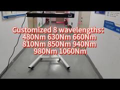 660nm 850nm 1000w Terapia de luz LED para uso doméstico comercial